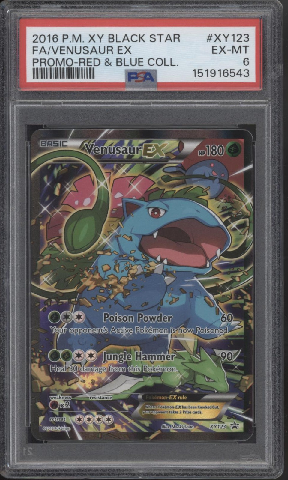 Venusaur ex Pokemon Red & Blue Collection Promo Full Art #XY123 PSA 6